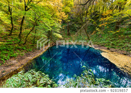 Aomori Prefecture Shirakami-Sanchi Autumn Leaves ~Twelve Lakes and Aoike~ 92819857