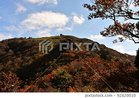 Hinoyama autumn leaves Hinoyama autumn leaves 92820010