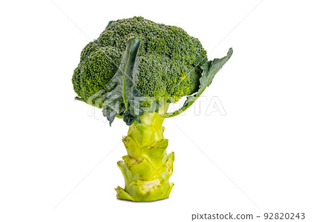 Side view of single fresh broccoli isolated on white background Side view of single fresh broccoli isolated on white background 92820243