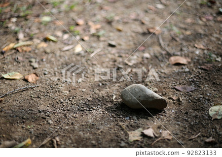 秋天路邊的石頭 秋天路邊的石頭 92823133