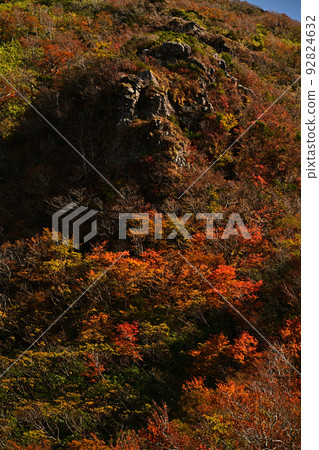 Hyonosen Koshikiiwa Fall Foliage 92824632