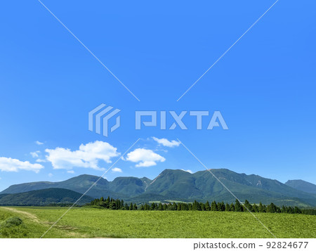 Ku Seitama在夏天 Ku Seitama在夏天 92824677