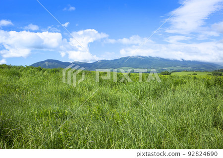 Ku Seitama在夏天 Ku Seitama在夏天 92824690