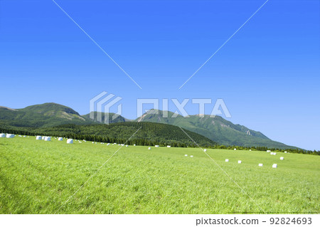 Ku Seitama in the summer 92824693