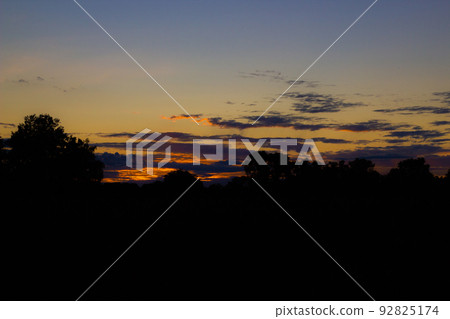 Sunset on a hill with big wild trees and cloudy sky in summer. Sunset on a hill with big wild trees and cloudy sky in summer. 92825174