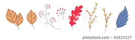 Set of different autumn leaves on white background Set of different autumn leaves on white background 92825227