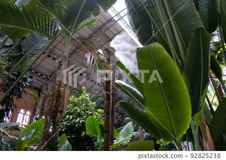 Irrigation system close up. Air humidification with steam in a batanic garden to create a climate for plants. Irrigation system close up. Air humidification with steam in a batanic garden to create a climate for plants. 92825238
