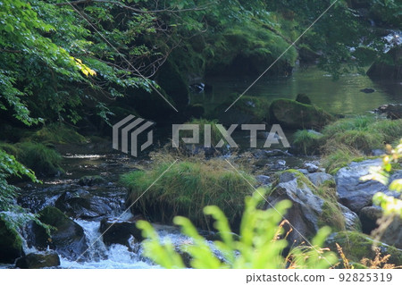 A stream in the forest. sunlight filtering through the trees 92825319