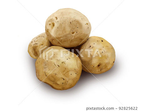 土豆 92825622