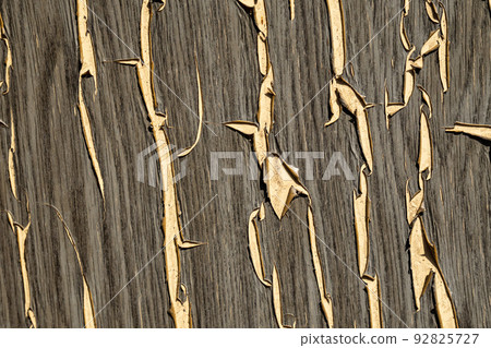 Weathered rough painted surface with patterns of cracks. Grunge texture for background 92825727