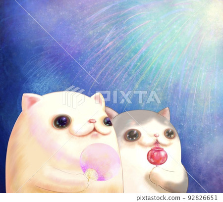 一隻貓在夏日夜空中看煙花 92826651