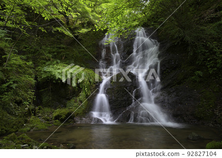 雙龍瀑布(兵庫縣朝來市山東町) 雙龍瀑布(兵庫縣朝來市山東町) 92827104