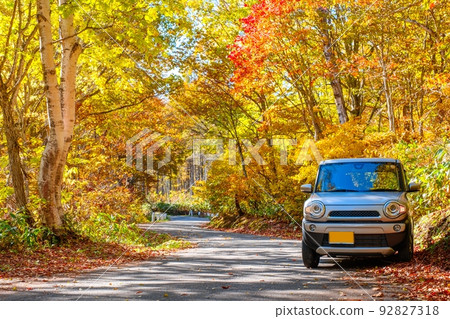 Fall Drive Fall Drive 92827318