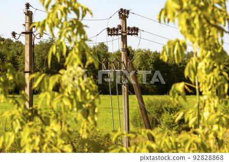 Power Supply Pylons seen through Trees 92828868