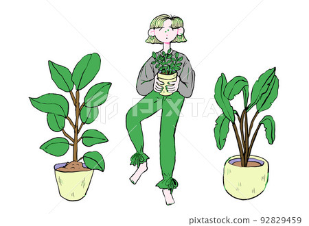 葉子植物 92829459