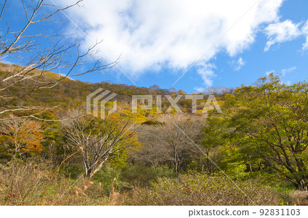 Gunma Prefecture Mt. Akagi and Kakumanbuchi in autumn colors Gunma Prefecture Mt. Akagi and Kakumanbuchi in autumn colors 92831103