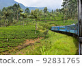 Train running through tea plantations in Sri Lanka 92831765