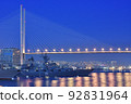 Warships anchored in Vladivostok port with the Golden Bridge in the background 92831964