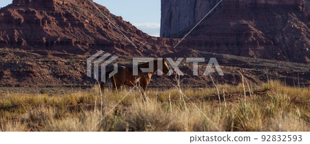 Wild Brown Horse in the desert with Red Rock Mountain Landscape in Background 92832593
