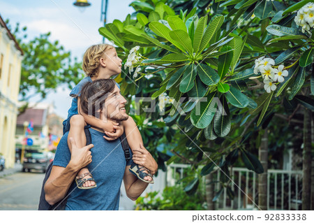Dad and son sniffing group of yellow white flowers Frangipani, Plumeria on a sunny day with natural background Dad and son sniffing group of yellow white flowers Frangipani, Plumeria on a sunny day with natural background 92833338