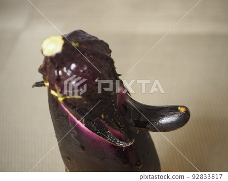 長著像人臉的鼻子的茄子 92833817