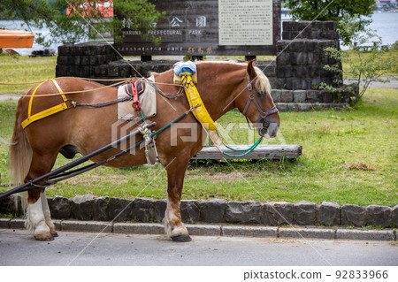 榛名湖畔的觀光馬車 92833966