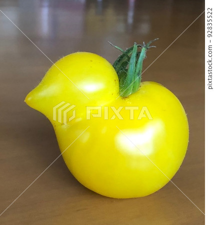 duck mini tomato duck mini tomato 92835522