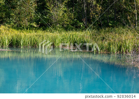 Quiet blue pond in summer Quiet blue pond in summer 92836014
