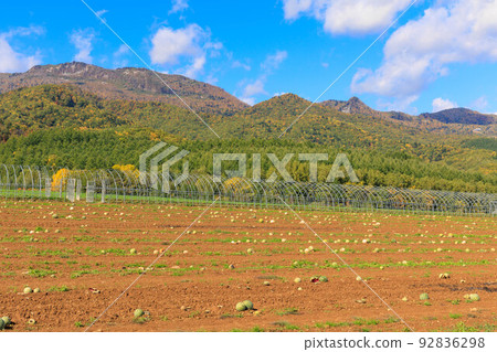 西瓜田和山“秋天的北海道” 西瓜田和山“秋天的北海道” 92836298