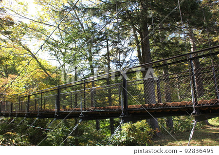 Suspension bridge_Fukidashi park_Kyogoku town 92836495