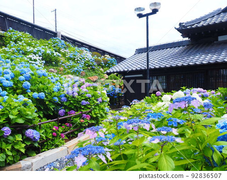 小樽紀品館舊青山別墅北海道繡球園的絕景 92836507