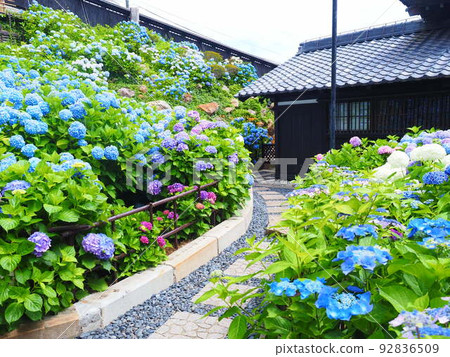 小樽紀品館舊青山別墅北海道繡球園的絕景 92836509