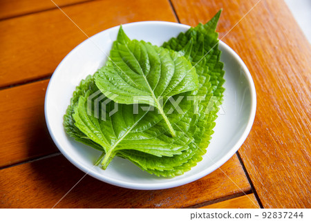 芝麻葉 92837244