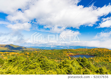 長野的紅葉名勝、色彩鮮豔的白駒池、高見石的景色 長野的紅葉名勝、色彩鮮豔的白駒池、高見石的景色 92837656