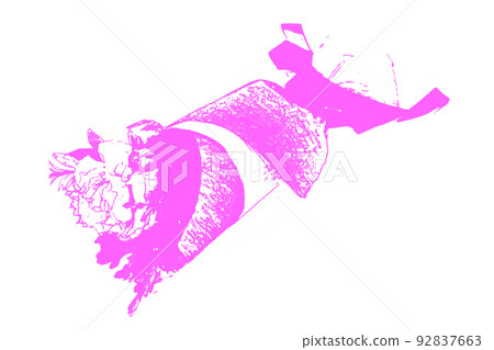 bouquet, bunch of flower, carnation 92837663