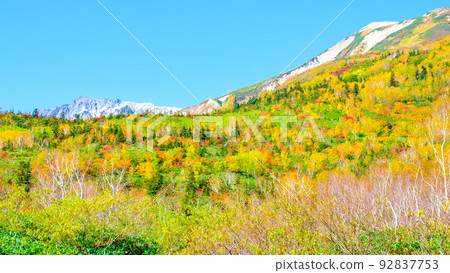 Tsugaike Nature Garden (Autumn) 92837753