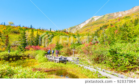 Tsugaike Nature Park (Autumn): Mosen Pond Tsugaike Nature Park (Autumn): Mosen Pond 92837864