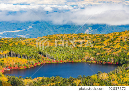 長野的紅葉名勝、色彩鮮豔的白駒池、高見石的景色 92837872