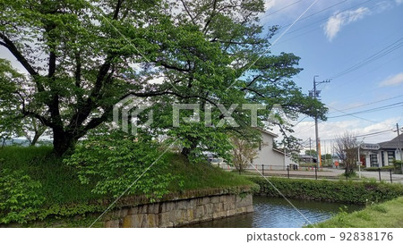 One of Japan's Top 100 Castles Continued Tatsuoka Castle Bastion between Otemon and Kuromon One of Japan's Top 100 Castles Continued Tatsuoka Castle Bastion between Otemon and Kuromon 92838176