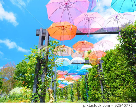 Superb view of Hokkaido Ecorin Village Umbrella Sky Superb view of Hokkaido Ecorin Village Umbrella Sky 92840775