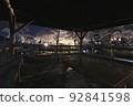 Night cherry blossoms at Wakaizumi Park 92841598