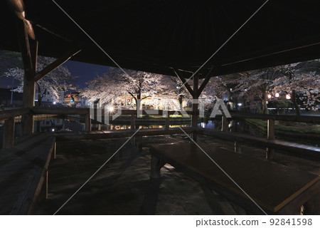 Night cherry blossoms at Wakaizumi Park 92841598