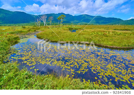Oze in summer A view of the north from near Nakatashiro (Mt. Keikaku, Mt. Yosaku, etc.) Oze in summer A view of the north from near Nakatashiro (Mt. Keikaku, Mt. Yosaku, etc.) 92841908