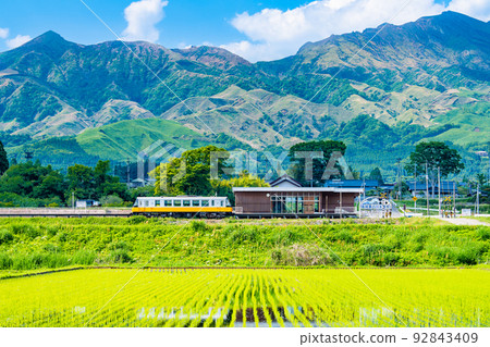 Kumamoto Prefecture Minami Aso Railway Minami Aso Shirakawa Suigen Station - A train surrounded by Mt. Aso and paddy fields - 92843409