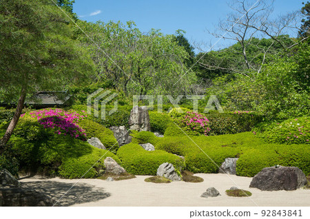Kamakura Summer Meigetsuin's beautiful fresh green and Japanese space Kamakura Summer Meigetsuin's beautiful fresh green and Japanese space 92843841