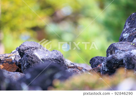 Tokachidake scree field "Autumn Hokkaido" 92846290