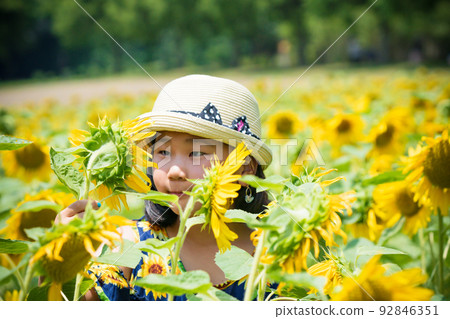 Boys and girls photographed in the blooming hills of Blumen, Shiga Agricultural Park in Hino Town, Gamo District, Shiga Prefecture Boys and girls photographed in the blooming hills of Blumen, Shiga Agricultural Park in Hino Town, Gamo District, Shiga Prefecture 92846351