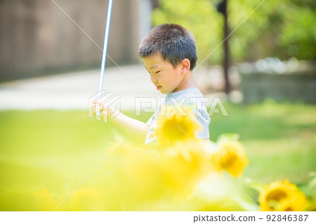 滋賀縣加茂區日野鎮滋賀農業公園布盧門盛開的山丘上拍攝的男孩和女孩 92846387