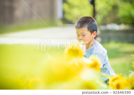 Boys and girls photographed in the blooming hills of Blumen, Shiga Agricultural Park in Hino Town, Gamo District, Shiga Prefecture Boys and girls photographed in the blooming hills of Blumen, Shiga Agricultural Park in Hino Town, Gamo District, Shiga Prefecture 92846390