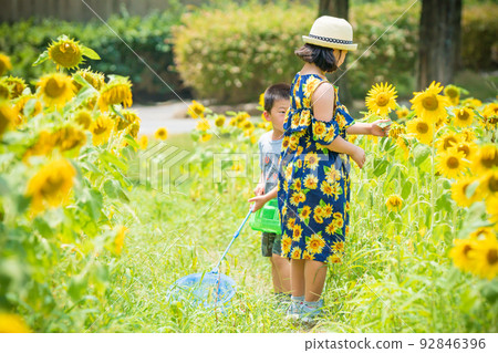 Boys and girls photographed in the blooming hills of Blumen, Shiga Agricultural Park in Hino Town, Gamo District, Shiga Prefecture 92846396